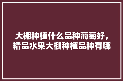 大棚种植什么品种葡萄好，精品水果大棚种植品种有哪些。 大棚种植什么品种葡萄好，精品水果大棚种植品种有哪些。 家禽养殖