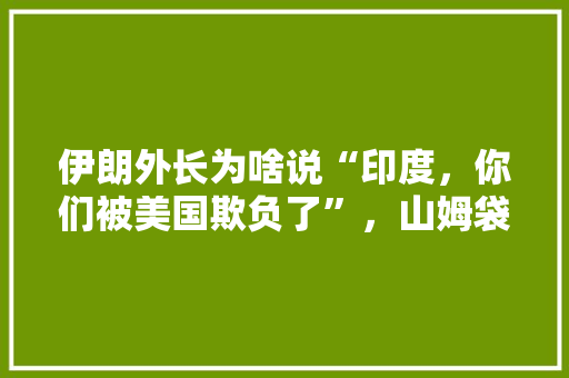 伊朗外长为啥说“印度，你们被美国欺负了”，山姆袋装黄桃价格。 伊朗外长为啥说“印度，你们被美国欺负了”，山姆袋装黄桃价格。 家禽养殖