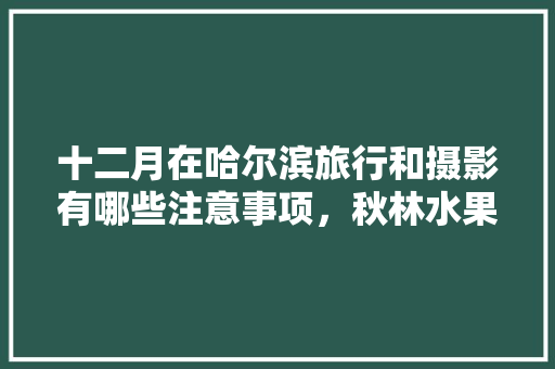 十二月在哈尔滨旅行和摄影有哪些注意事项，秋林水果种植方法视频教程。 十二月在哈尔滨旅行和摄影有哪些注意事项，秋林水果种植方法视频教程。 家禽养殖