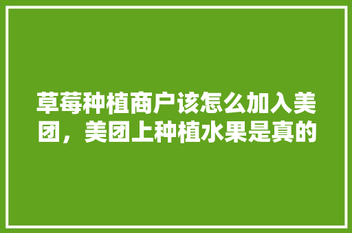 草莓种植商户该怎么加入美团，美团上种植水果是真的吗。 草莓种植商户该怎么加入美团，美团上种植水果是真的吗。 水果种植