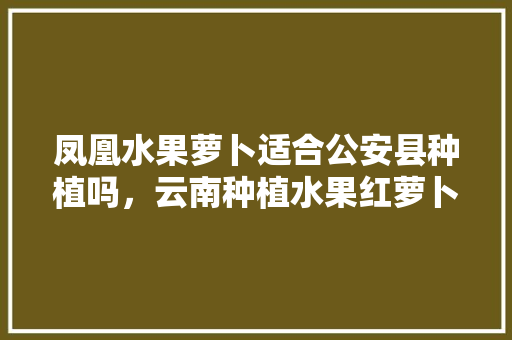 凤凰水果萝卜适合公安县种植吗，云南种植水果红萝卜吗好吃吗。 凤凰水果萝卜适合公安县种植吗，云南种植水果红萝卜吗好吃吗。 蔬菜种植