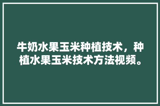 牛奶水果玉米种植技术，种植水果玉米技术方法视频。 牛奶水果玉米种植技术，种植水果玉米技术方法视频。 蔬菜种植