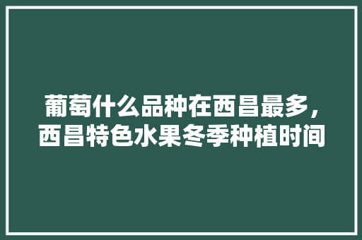 葡萄什么品种在西昌最多，西昌特色水果冬季种植时间。 葡萄什么品种在西昌最多，西昌特色水果冬季种植时间。 家禽养殖