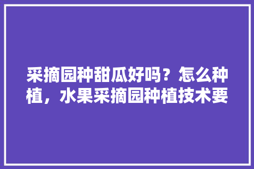 采摘园种甜瓜好吗？怎么种植，水果采摘园种植技术要点。 采摘园种甜瓜好吗？怎么种植，水果采摘园种植技术要点。 畜牧养殖