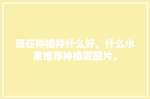 现在种植种什么好，什么水果推荐种植呢图片。 现在种植种什么好，什么水果推荐种植呢图片。 家禽养殖