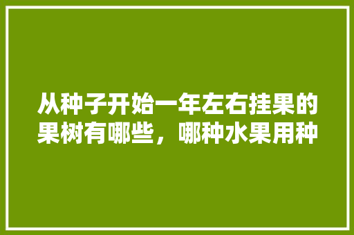 从种子开始一年左右挂果的果树有哪些，哪种水果用种子种植最好。 从种子开始一年左右挂果的果树有哪些，哪种水果用种子种植最好。 土壤施肥