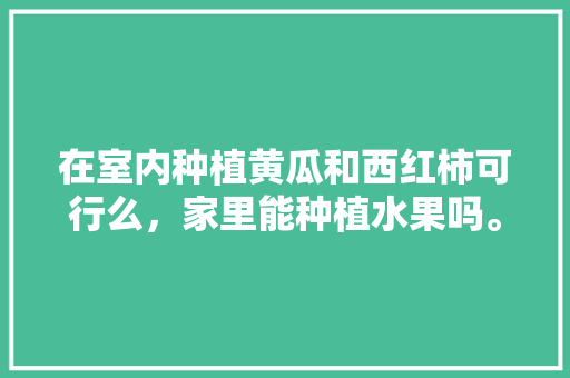 在室内种植黄瓜和西红柿可行么，家里能种植水果吗。 在室内种植黄瓜和西红柿可行么，家里能种植水果吗。 畜牧养殖