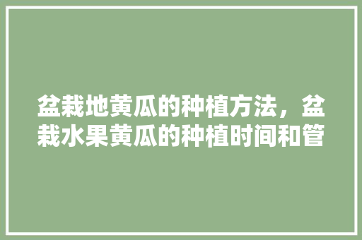 盆栽地黄瓜的种植方法，盆栽水果黄瓜的种植时间和管理方法。 盆栽地黄瓜的种植方法，盆栽水果黄瓜的种植时间和管理方法。 畜牧养殖