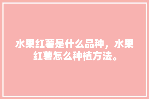 水果红薯是什么品种，水果红薯怎么种植方法。 水果红薯是什么品种，水果红薯怎么种植方法。 家禽养殖