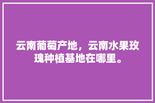 云南葡萄产地，云南水果玫瑰种植基地在哪里。 云南葡萄产地，云南水果玫瑰种植基地在哪里。 畜牧养殖