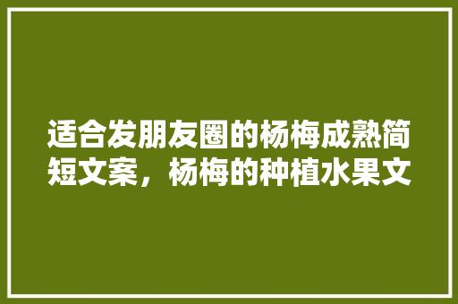 适合发朋友圈的杨梅成熟简短文案，杨梅的种植水果文案怎么写。 适合发朋友圈的杨梅成熟简短文案，杨梅的种植水果文案怎么写。 土壤施肥