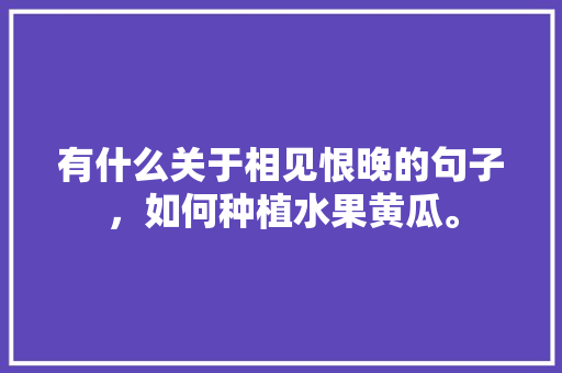 有什么关于相见恨晚的句子，如何种植水果黄瓜。 有什么关于相见恨晚的句子，如何种植水果黄瓜。 蔬菜种植