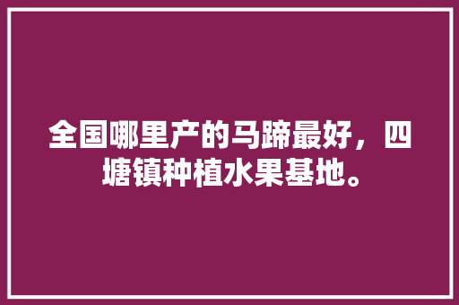 全国哪里产的马蹄最好，四塘镇种植水果基地。 全国哪里产的马蹄最好，四塘镇种植水果基地。 水果种植