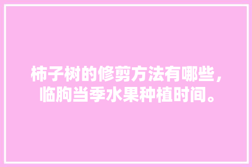 柿子树的修剪方法有哪些，临朐当季水果种植时间。 柿子树的修剪方法有哪些，临朐当季水果种植时间。 家禽养殖