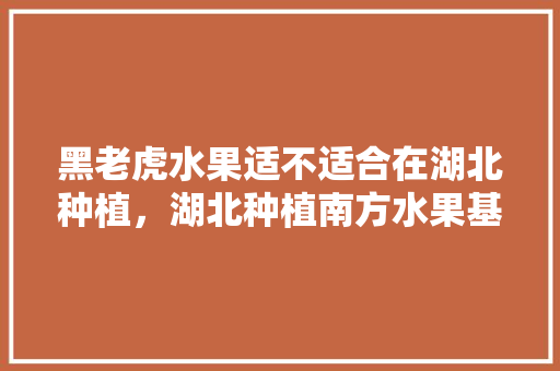 黑老虎水果适不适合在湖北种植，湖北种植南方水果基地在哪里。 黑老虎水果适不适合在湖北种植，湖北种植南方水果基地在哪里。 畜牧养殖