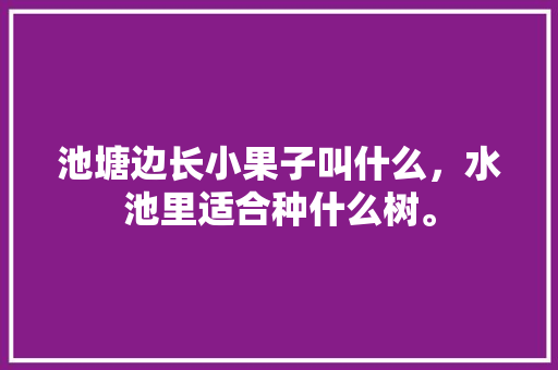 池塘边长小果子叫什么，水池里适合种什么树。 池塘边长小果子叫什么，水池里适合种什么树。 土壤施肥