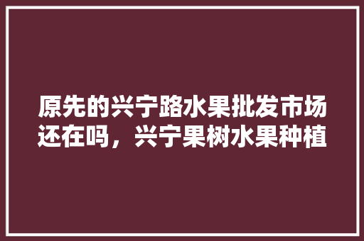 原先的兴宁路水果批发市场还在吗，兴宁果树水果种植基地在哪里。 原先的兴宁路水果批发市场还在吗，兴宁果树水果种植基地在哪里。 家禽养殖