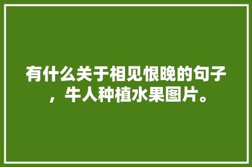 有什么关于相见恨晚的句子，牛人种植水果图片。 有什么关于相见恨晚的句子，牛人种植水果图片。 蔬菜种植