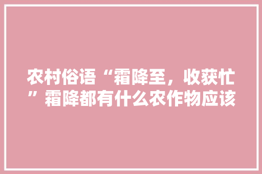 农村俗语“霜降至，收获忙”霜降都有什么农作物应该进行收获，高青水果种植基地在哪里。 农村俗语“霜降至，收获忙”霜降都有什么农作物应该进行收获，高青水果种植基地在哪里。 蔬菜种植