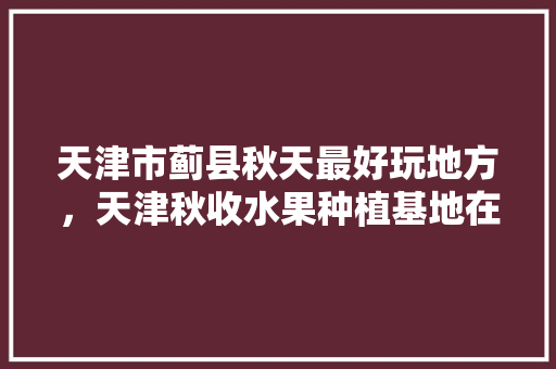 天津市蓟县秋天最好玩地方，天津秋收水果种植基地在哪里。 天津市蓟县秋天最好玩地方，天津秋收水果种植基地在哪里。 土壤施肥