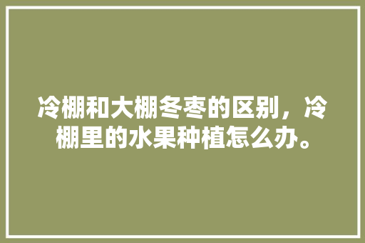 冷棚和大棚冬枣的区别，冷棚里的水果种植怎么办。 冷棚和大棚冬枣的区别，冷棚里的水果种植怎么办。 土壤施肥