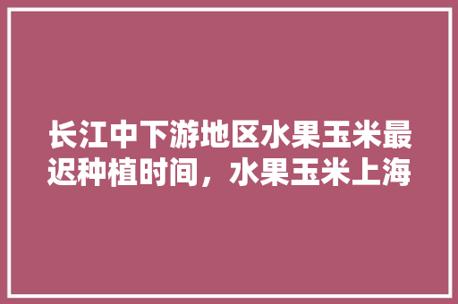 长江中下游地区水果玉米最迟种植时间，水果玉米上海种植时间表。 土壤施肥