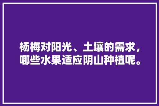 杨梅对阳光、土壤的需求，哪些水果适应阴山种植呢。 杨梅对阳光、土壤的需求，哪些水果适应阴山种植呢。 土壤施肥