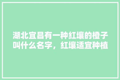 湖北宜昌有一种红壤的橙子叫什么名字，红壤适宜种植什么水果呢。 湖北宜昌有一种红壤的橙子叫什么名字，红壤适宜种植什么水果呢。 水果种植