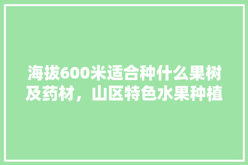 海拔600米适合种什么果树及药材，山区特色水果种植方法。 海拔600米适合种什么果树及药材，山区特色水果种植方法。 土壤施肥