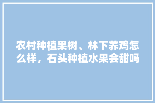 农村种植果树、林下养鸡怎么样，石头种植水果会甜吗视频教程。 农村种植果树、林下养鸡怎么样，石头种植水果会甜吗视频教程。 畜牧养殖