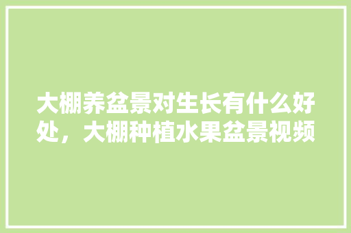 大棚养盆景对生长有什么好处，大棚种植水果盆景视频。 大棚养盆景对生长有什么好处，大棚种植水果盆景视频。 水果种植