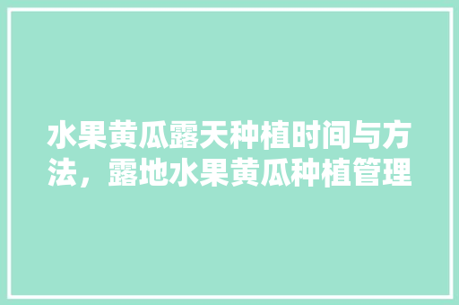 水果黄瓜露天种植时间与方法，露地水果黄瓜种植管理技术。 水果黄瓜露天种植时间与方法，露地水果黄瓜种植管理技术。 水果种植