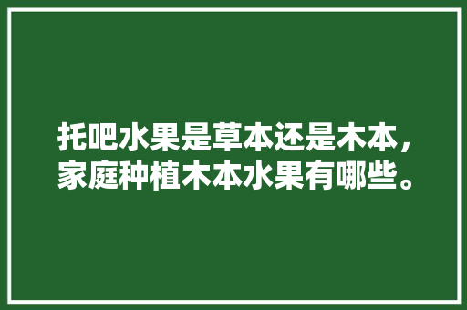 托吧水果是草本还是木本，家庭种植木本水果有哪些。 托吧水果是草本还是木本，家庭种植木本水果有哪些。 畜牧养殖