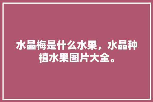 水晶梅是什么水果，水晶种植水果图片大全。 水晶梅是什么水果，水晶种植水果图片大全。 水果种植