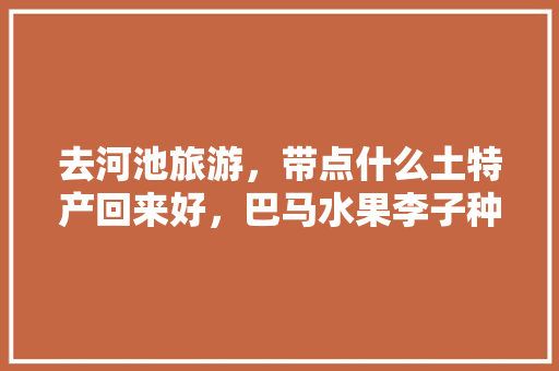 去河池旅游，带点什么土特产回来好，巴马水果李子种植技术与管理。 去河池旅游，带点什么土特产回来好，巴马水果李子种植技术与管理。 蔬菜种植