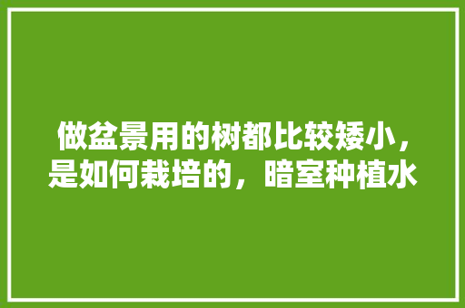 做盆景用的树都比较矮小，是如何栽培的，暗室种植水果可以吗。 做盆景用的树都比较矮小，是如何栽培的，暗室种植水果可以吗。 水果种植