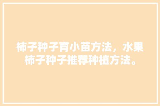 柿子种子育小苗方法，水果柿子种子推荐种植方法。 柿子种子育小苗方法，水果柿子种子推荐种植方法。 水果种植