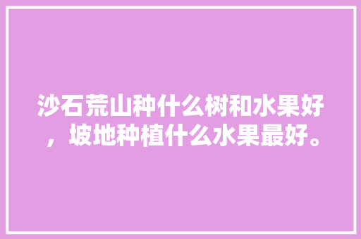 沙石荒山种什么树和水果好，坡地种植什么水果最好。 沙石荒山种什么树和水果好，坡地种植什么水果最好。 土壤施肥