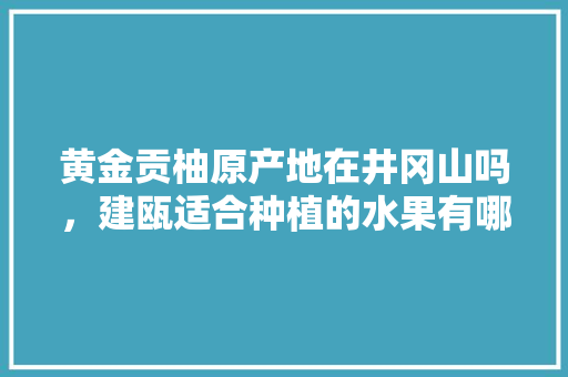 黄金贡柚原产地在井冈山吗，建瓯适合种植的水果有哪些。 黄金贡柚原产地在井冈山吗，建瓯适合种植的水果有哪些。 水果种植