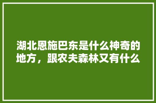 湖北恩施巴东是什么神奇的地方，跟农夫森林又有什么关系呢，巴东种植哪些水果好吃。 湖北恩施巴东是什么神奇的地方，跟农夫森林又有什么关系呢，巴东种植哪些水果好吃。 家禽养殖