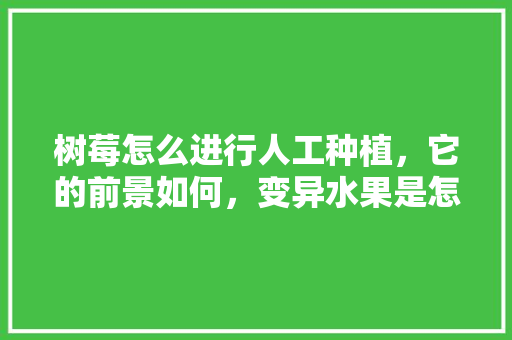 树莓怎么进行人工种植，它的前景如何，变异水果是怎么来的。 树莓怎么进行人工种植，它的前景如何，变异水果是怎么来的。 家禽养殖