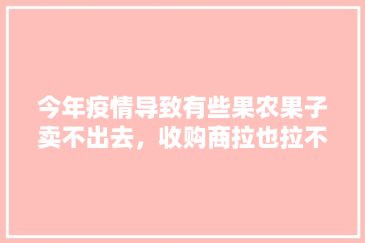 今年疫情导致有些果农果子卖不出去，收购商拉也拉不出去。该怎么办，水果种植受疫情影响怎么办。 今年疫情导致有些果农果子卖不出去，收购商拉也拉不出去。该怎么办，水果种植受疫情影响怎么办。 畜牧养殖