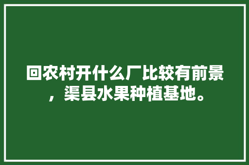 回农村开什么厂比较有前景，渠县水果种植基地。 回农村开什么厂比较有前景，渠县水果种植基地。 水果种植