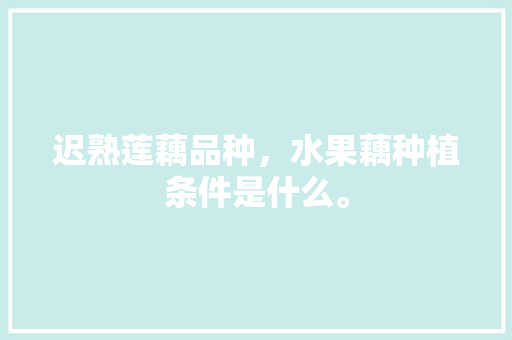 迟熟莲藕品种，水果藕种植条件是什么。 迟熟莲藕品种，水果藕种植条件是什么。 水果种植