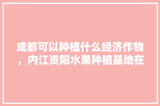 成都可以种植什么经济作物，内江资阳水果种植基地在哪里。 成都可以种植什么经济作物，内江资阳水果种植基地在哪里。 蔬菜种植