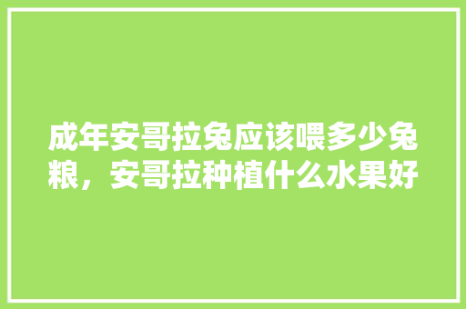 成年安哥拉兔应该喂多少兔粮，安哥拉种植什么水果好吃。 成年安哥拉兔应该喂多少兔粮，安哥拉种植什么水果好吃。 蔬菜种植