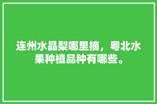 连州水晶梨哪里摘，粤北水果种植品种有哪些。 连州水晶梨哪里摘，粤北水果种植品种有哪些。 水果种植