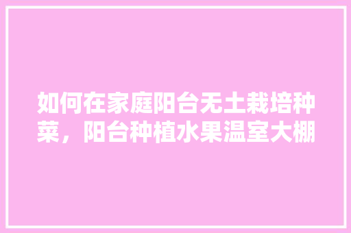 如何在家庭阳台无土栽培种菜，阳台种植水果温室大棚图片。 如何在家庭阳台无土栽培种菜，阳台种植水果温室大棚图片。 蔬菜种植