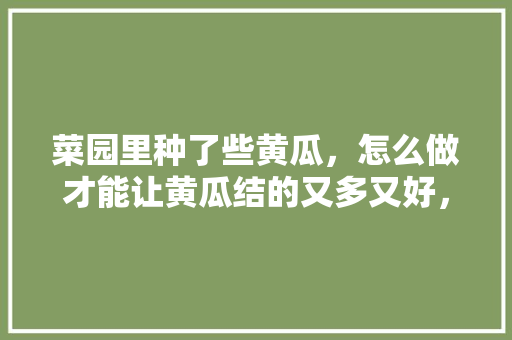 菜园里种了些黄瓜，怎么做才能让黄瓜结的又多又好，水果黄瓜拉网种植视频教程。 菜园里种了些黄瓜，怎么做才能让黄瓜结的又多又好，水果黄瓜拉网种植视频教程。 水果种植