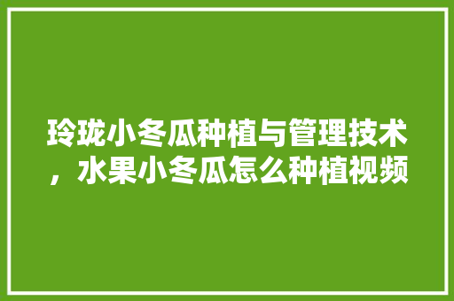 玲珑小冬瓜种植与管理技术，水果小冬瓜怎么种植视频。 玲珑小冬瓜种植与管理技术，水果小冬瓜怎么种植视频。 畜牧养殖